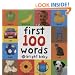 First 100 Words (Bright Baby First 100)