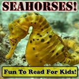 Seahorses! Learning About Seahorses - Seahorse Photos And Facts Make It Fun! (Over 45+ Pictures of Different Seahorses)