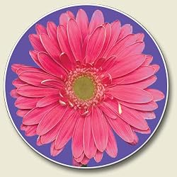 Pink Daisy Auto Coaster, Single Coaster for Your Car