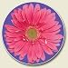 Pink Daisy Auto Coaster, Single Coaster for Your Car