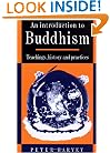 An Introduction to Buddhism: Teachings, History and Practices (Introduction to Religion)