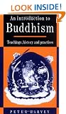 An Introduction to Buddhism: Teachings, History and Practices (Introduction to Religion)