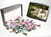 Photo Jigsaw Puzzle of DOG - Czechoslovakian Wolfdog from Ardea Wildlife Pets