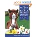 The Big Book of Small Equines: A Celebration of Miniature Horses and Shetland Ponies