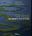Sénégal : Sine-Saloum la forêt de l'océan