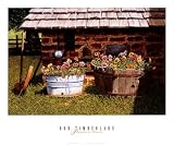Pumphouse Pansies Art Poster Print by Bob Timberlake, 24x20