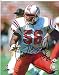 Andre Tippett New England Patriots Signed 8x10 Photo