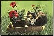 Spunky Cat Doormat Sueellen Ross Fiddler's Elbow