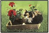 Spunky Cat Doormat Sueellen Ross Fiddler's Elbow