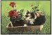 Spunky Cat Doormat Sueellen Ross Fiddler's Elbow
