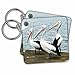 Image of Three pelicans - Key Chains, 2.25 x 2.25 inches, set of 2 (kc_216278_1)