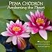 Pema Chodron 2012 Mini Calendar (7" x 7")