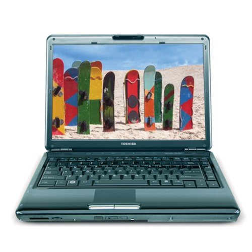 Toshiba Satellite M305D-S4833 14-inch Laptop (2.0 GHz AMD Turion X2 Dual Core Mobile RM-70 Processor, 4 GB RAM, 320 GB Hard Drive, DVD Drive, Vista Premium) Black