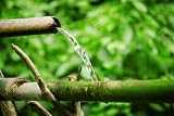 Bamboo Lengths of Pipe Set up to Direct Water - 18