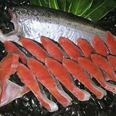 山漬け（鮭）1本　3kg前後切り身