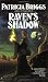 Raven's Shadow (The Raven Duology, Book 1)