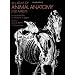 An Atlas of Animal Anatomy for Artists (Dover Anatomy for Artists)