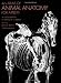 An Atlas of Animal Anatomy for Artists