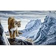 Skagit Mountains 1000pc Jigsaw Puzzle