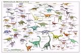 (24x36) Dinosaur Evolution Educational Science Chart Poster