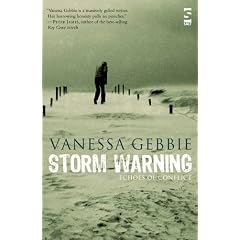Storm Warning: Echoes of Conflict (Salt Modern Fiction)
