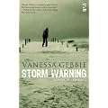 Storm Warning: Echoes of Conflict (Salt Modern Fiction)