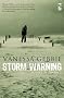 Storm Warning: Echoes of Conflict (Salt Modern Fiction)