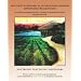 Matumizi Ya Mifumo Ya Vetiver Masuluhisho - Mwongozo Wa Kiufundi: Vetiver System Applications - Technical Reference Manual - Swahili Edition