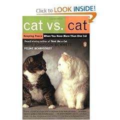 Cat Vs. Cat: Keeping Peace When You Have More Than One Cat