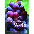 Das Hallwag Handbuch Wein