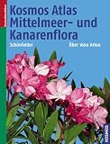 Produkt-Bild: Kosmos Atlas Mittelmeer- und Kanarenflora: &Uuml;ber 1600 Arten