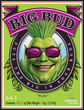 Big Bud Liquid by Dr. Hornby 1 Liter