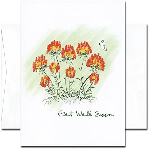 Get Well Cards: Butterfly - box of 10 cards & envelopes