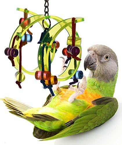 Acrylic Activity Play Tunnel Small Bird Toy with Jingle Bell