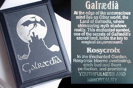 Rosycroix Silver-Tone Pewter Gothic Druid Immortality Rose Pendant Necklace under The Jewelry Store