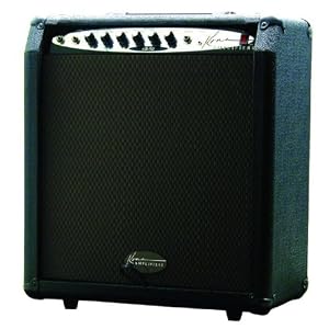 Kona 30-Watt Bass/keyboard Amp With 10" Speaker