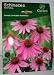 de ree garden treasures echinacea purpurea perennials pk 3 roots