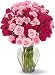 50 Blooms of Pink Spray Roses without Vase