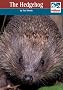 The Hedgehog