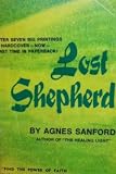 Lost Shepherd: A Moving Novel of Life in the Spirit
