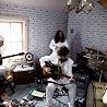 Image of Califone