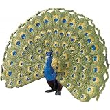 Wings of the World - Peacock