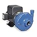 Goulds Water / Xylem