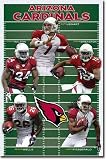 (22x34) Arizona Cardinals Field Team Sports Poster Print