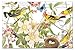 Counterart Botanical Birds 24 Sheet Premium Reusable Paper Placemat in Resealable Bag 17