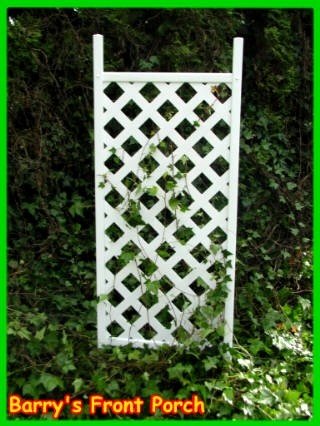 Manchester Trellis
