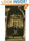 The City of Falling Angels