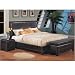Modus Hudson Capri Low Profile Platform Bed