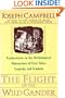 The Flight of the Wild Gander: Explorations in the Mythological Dimensions of Fairy Tales, Legends, and Symbols