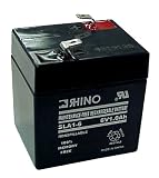 6 VOLT 1.0Ah BATTERY